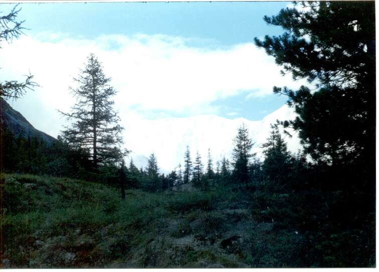 Altai_1997_03