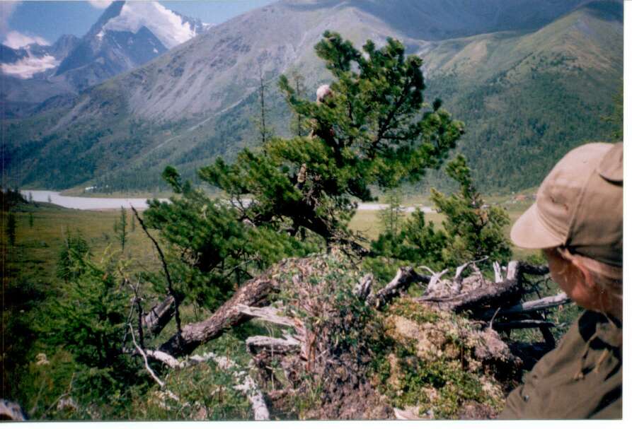 Altai_1998_04