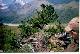 Altai_1998_04