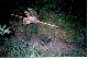 Altai_1998_13