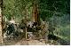 Altai_1998_15