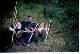 Altai_1998_16