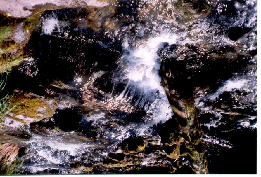 Altai_1998_19