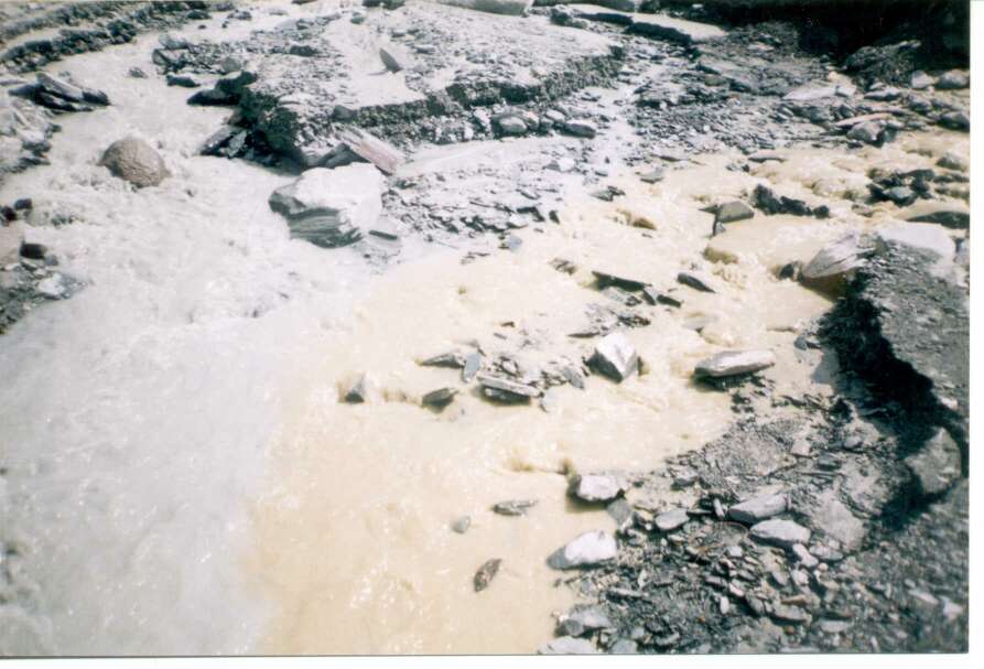 Altai_1998_25