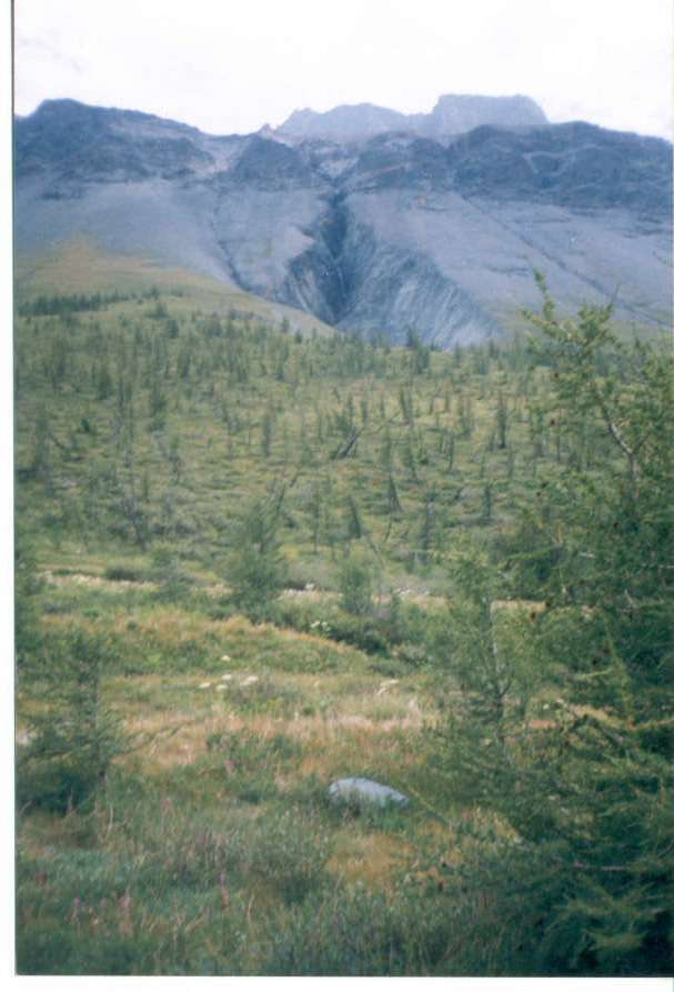 Altai_1998_29