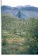 Altai_1998_29