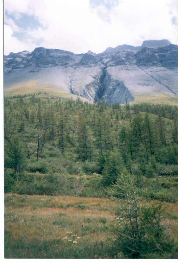 Altai_1998_30