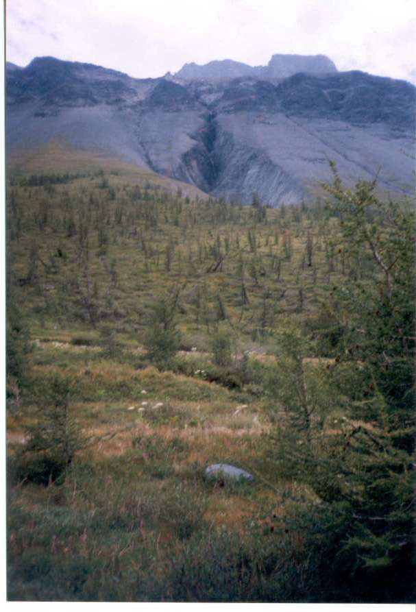 Altai_1998_31