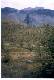 Altai_1998_31