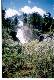 Altai_1998_32