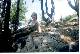 Altai_1998_35