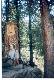 Altai_1998_36