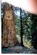 Altai_1998_37