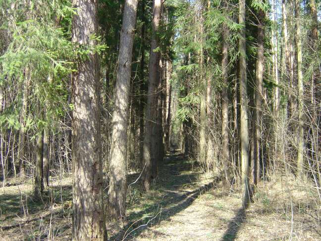 First_Trehgorka_april_2004_04