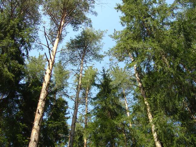 First_Trehgorka_april_2004_06