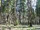 First_Trehgorka_april_2004_07