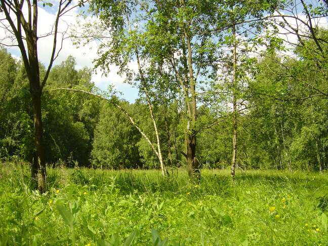 Trehgorka_27_06_04_01