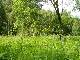 Trehgorka_27_06_04_02