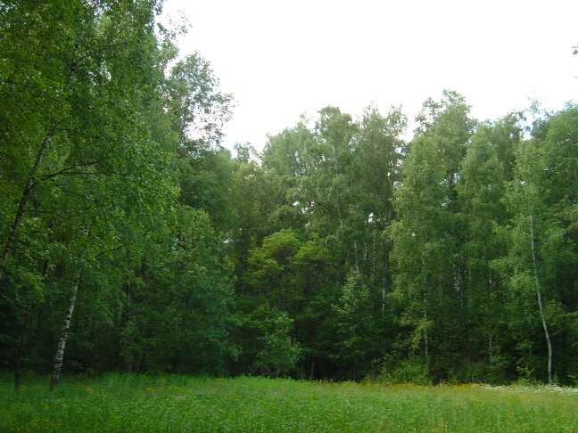 Trehgorka_27_06_04_05