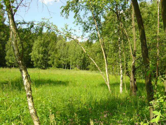 Trehgorka_27_06_04_10