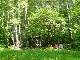 Trehgorka_27_06_04_11
