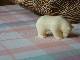 3_Gukov_Izd_04