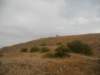 _20170815_085142__small.jpg