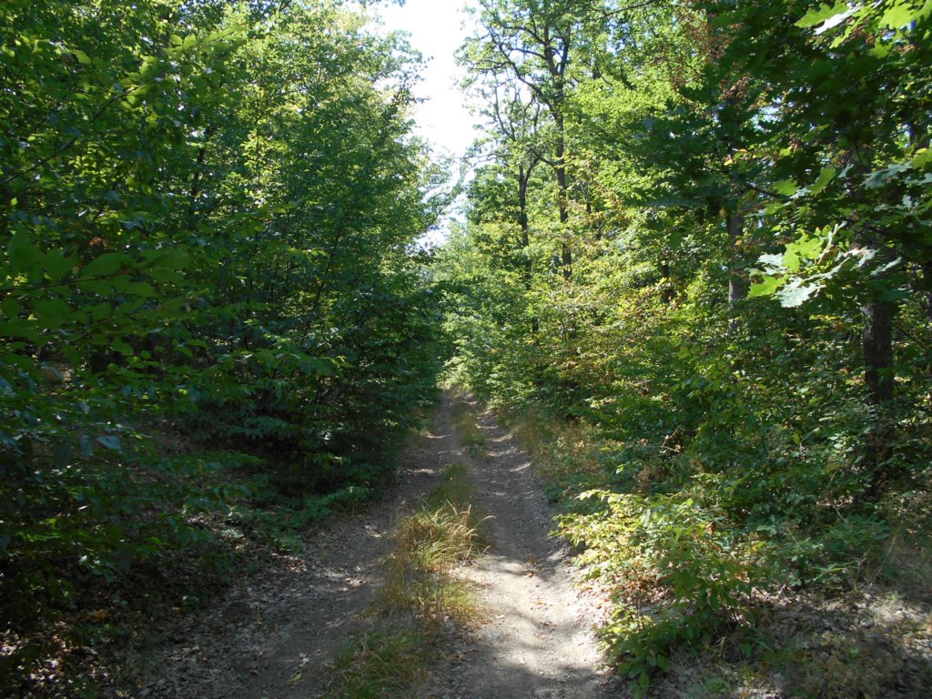 _20170816_135550_.jpg
