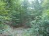 _20170816_171604__small.jpg