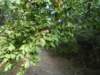 _20170817_084344__small.jpg
