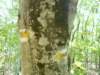 _20170820_102714__small.jpg