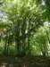 _20170820_162032__small.jpg