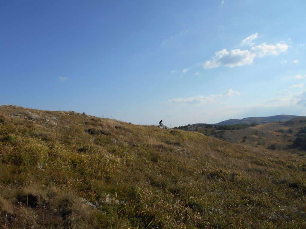 _20170828_171042_.jpg