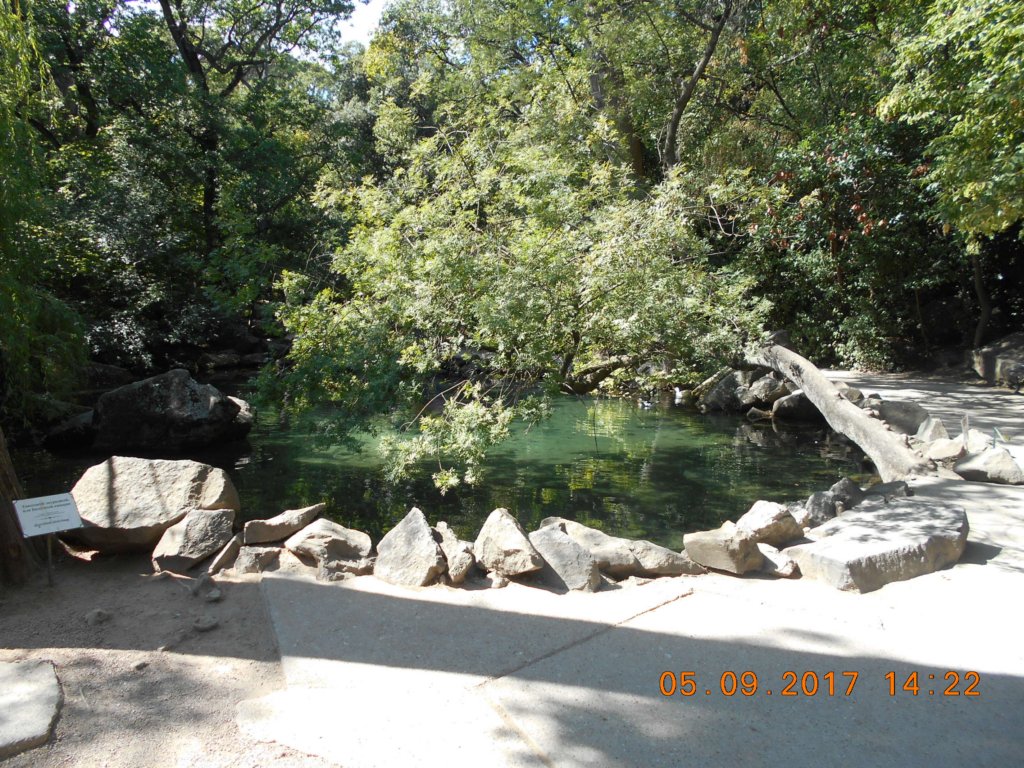 _20170905_142202_.jpg