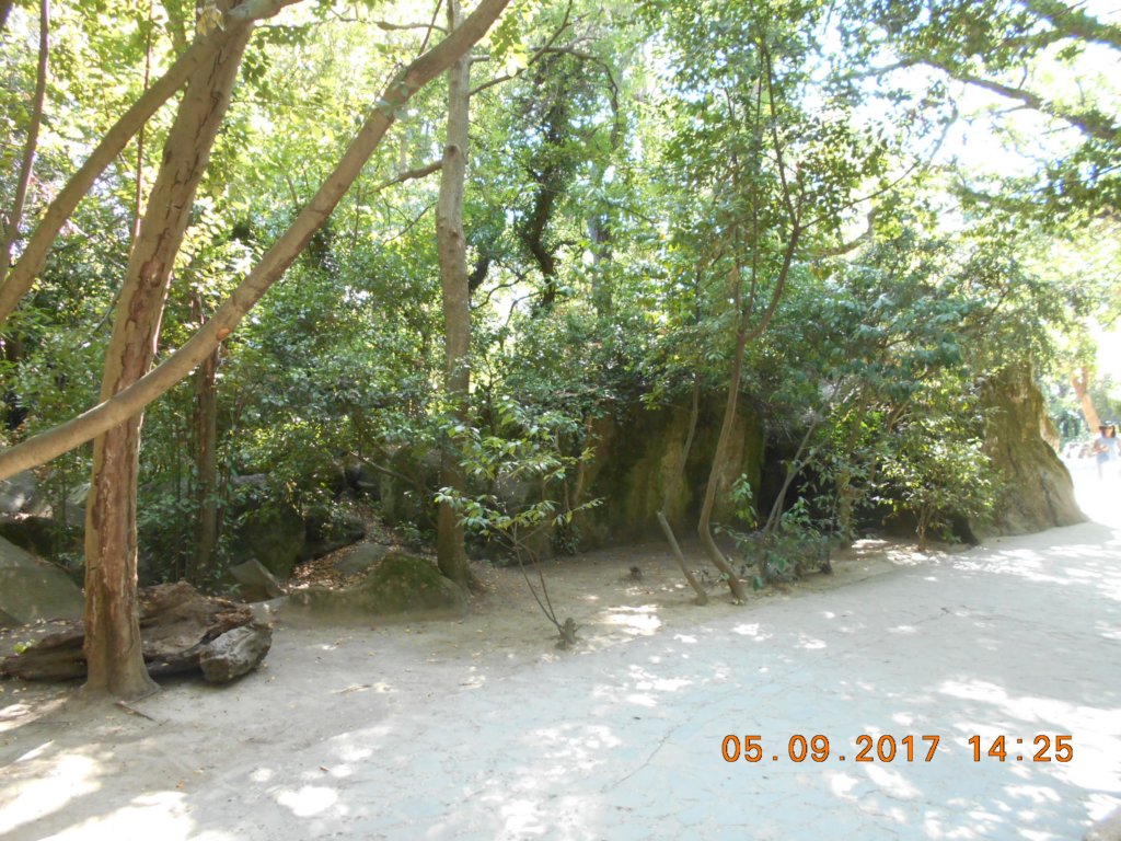 _20170905_142524_.jpg