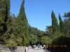 _20170905_145416__small.jpg
