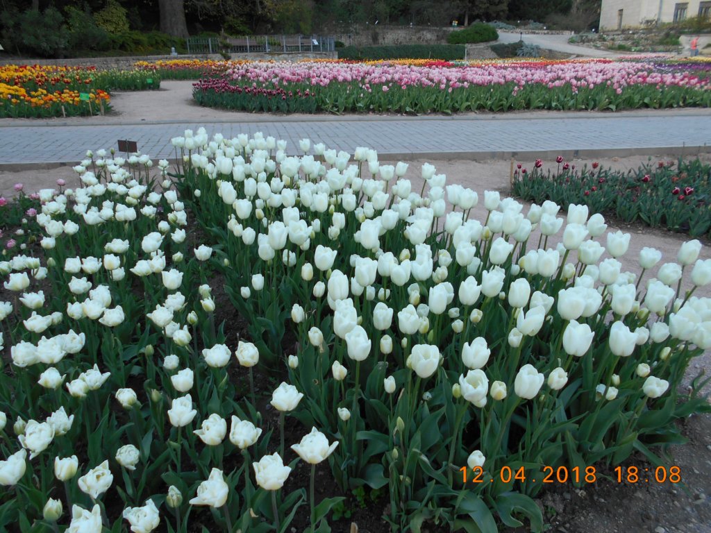 photo115.jpg