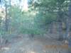 photo33_small.jpg
