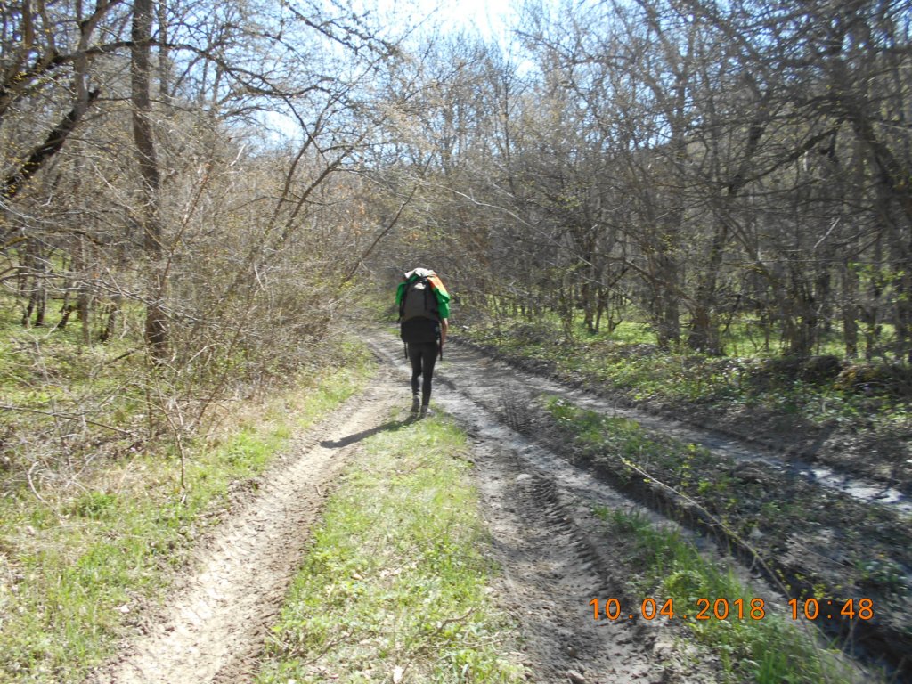 photo55.jpg