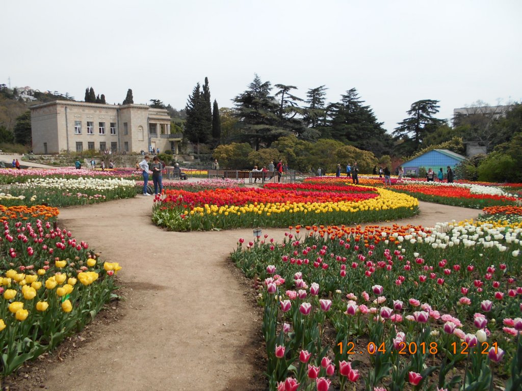 photo84.jpg