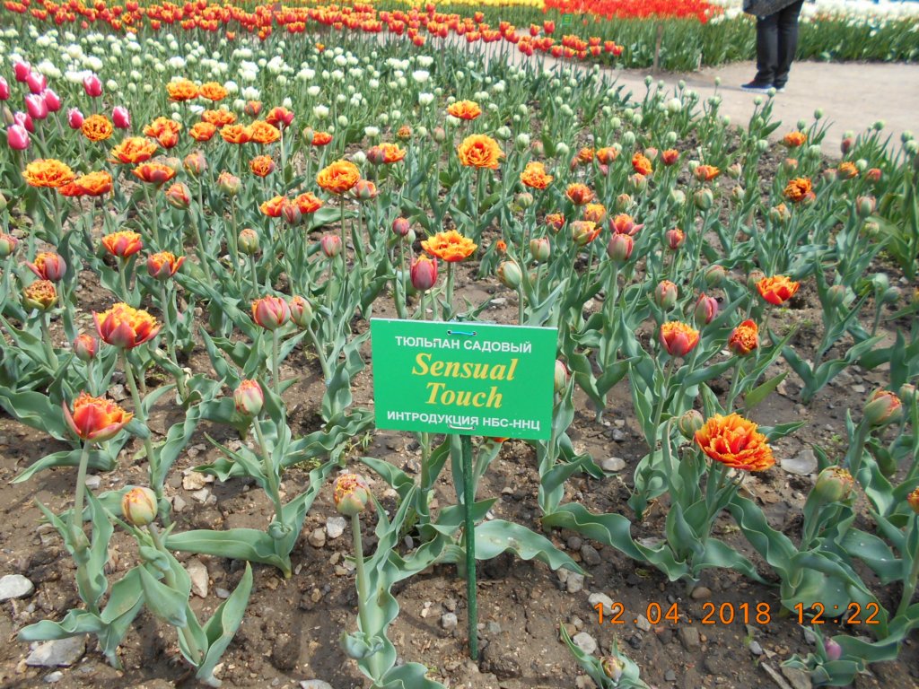 photo88.jpg