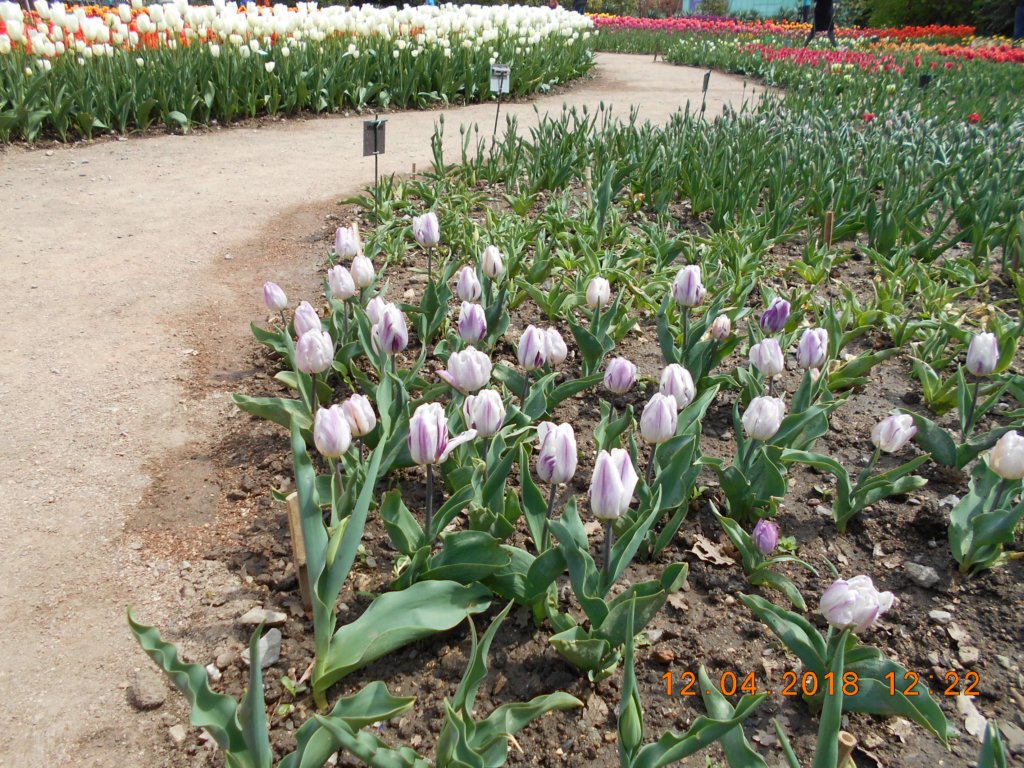 photo90.jpg