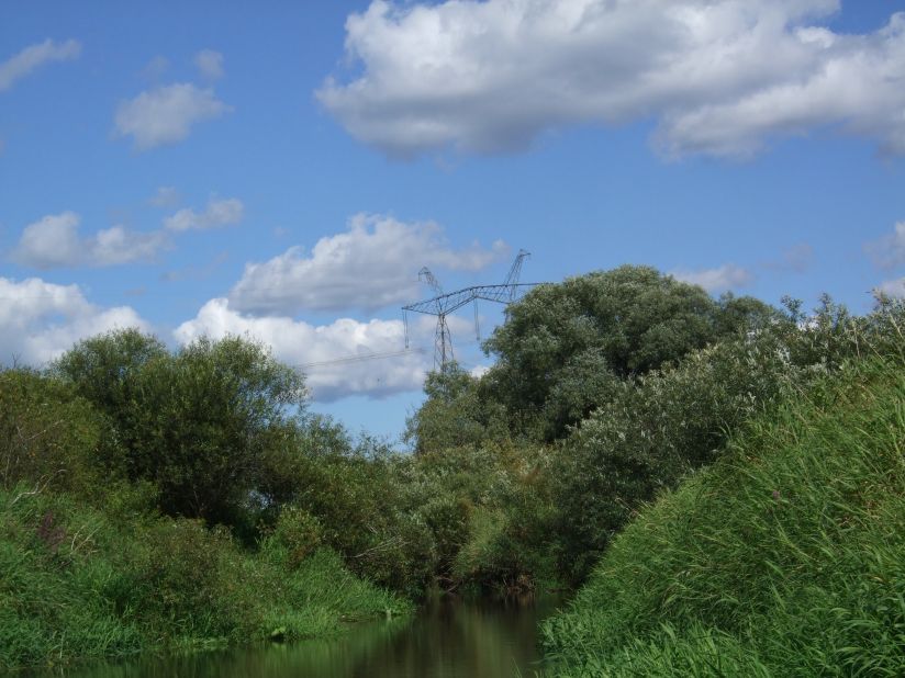 Resseta_2009_21