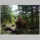 Resseta_2009_22
