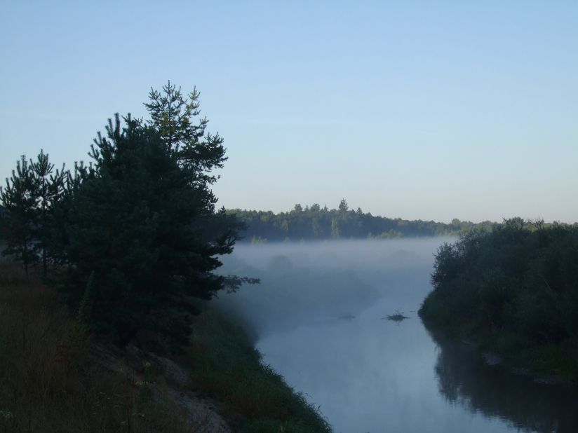 Resseta_2009_28