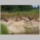 Resseta_2009_31