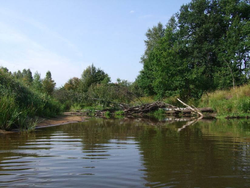Resseta_2009_33