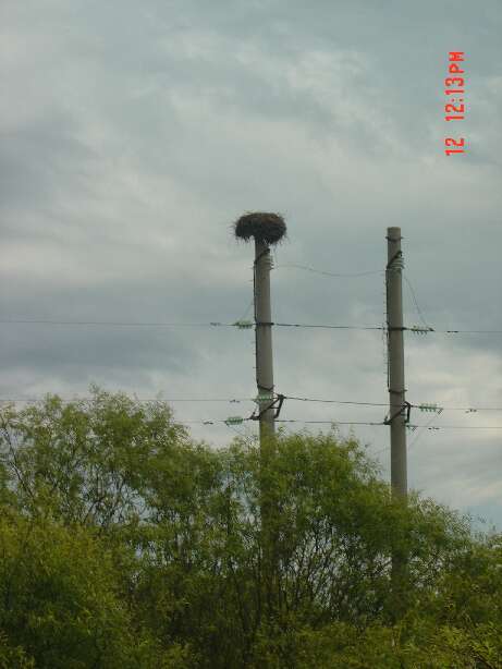 Resseta_08