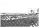 Lapland_zapov05