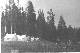 Lapland_zapov06